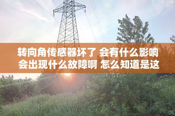 转向角传感器坏了 会有什么影响 会出现什么故障啊 怎么知道是这个东西坏了？