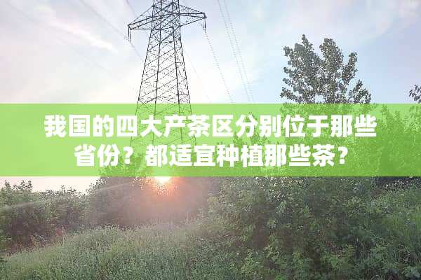 我国的四大产茶区分别位于那些省份？都适宜种植那些茶？