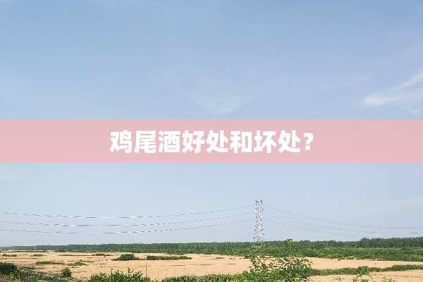 ***好处和坏处？