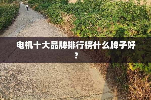 电机十大品牌排行榜什么牌子好？