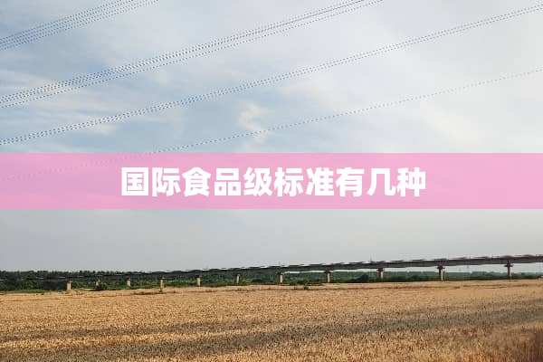 国际食品级标准有几种