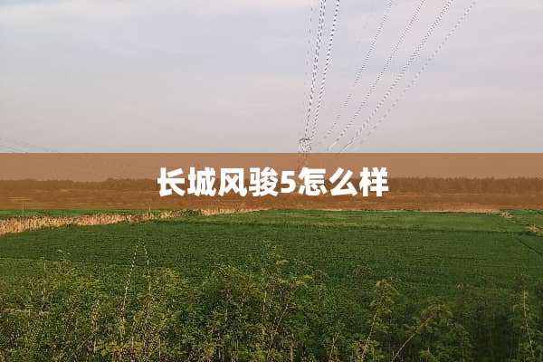 长城风骏5怎么样