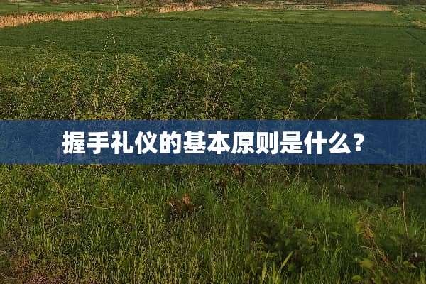 握手礼仪的基本原则是什么？