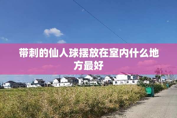 带刺的仙人球摆放在室内什么地方最好