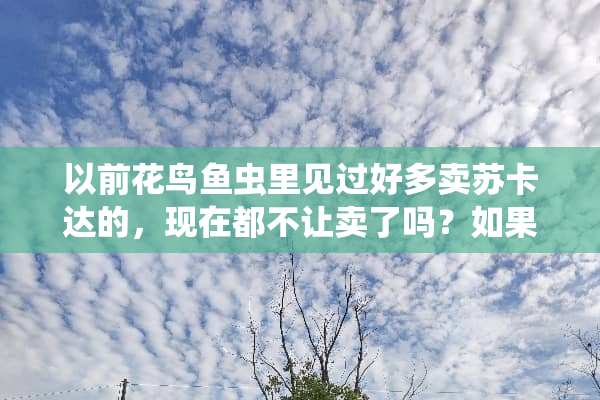 以前花鸟鱼虫里见过好多卖苏卡达的，现在都不让卖了吗？如果办理养殖证可以进吗