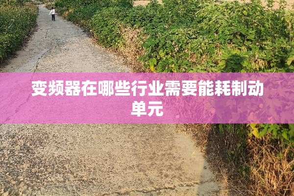 变频器在哪些行业需要能耗制动单元