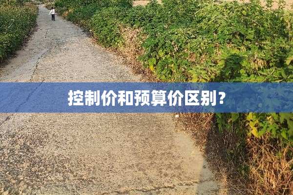 控制价和预算价区别？