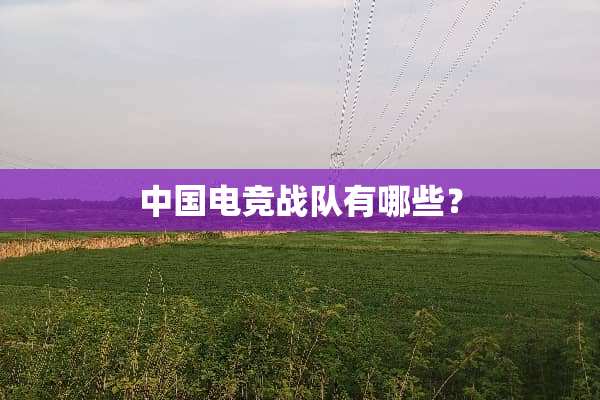 中国电竞战队有哪些？