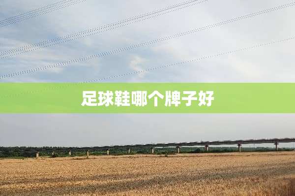**鞋哪个牌子好