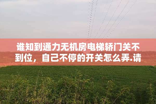 谁知到通力无机房电梯轿门关不到位，自己不停的开关怎么弄.请高手指点，多谢了！