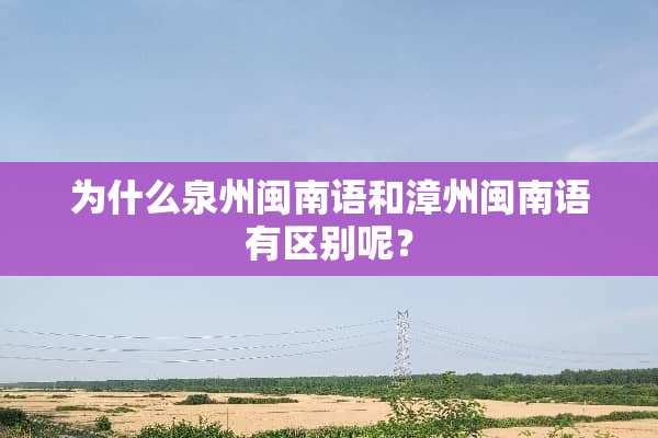 为什么泉州闽南语和漳州闽南语有区别呢？