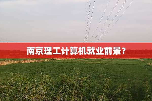 南京理工计算机就业前景？