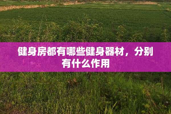 健身房都有哪些健身器材，分别有什么作用
