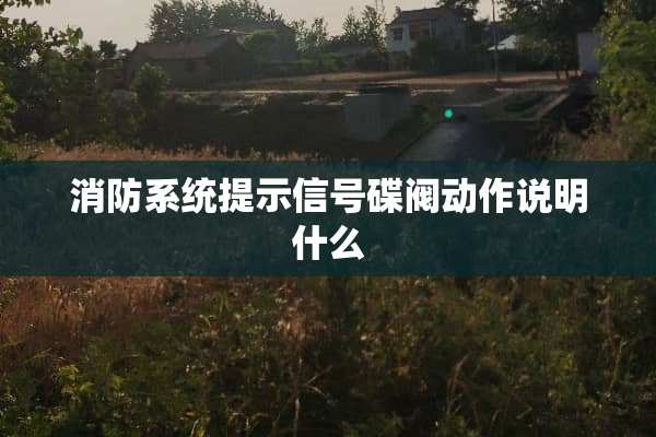 消防系统提示信号碟阀动作说明什么