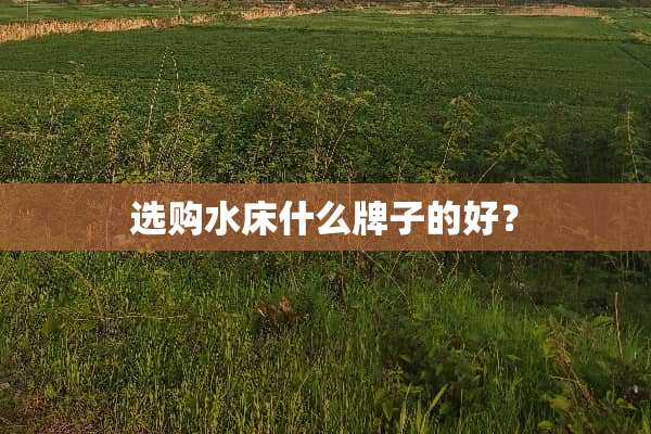 选购水床什么牌子的好？