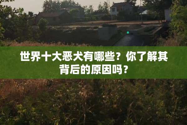 世界十大恶犬有哪些？你了解其背后的原因吗？