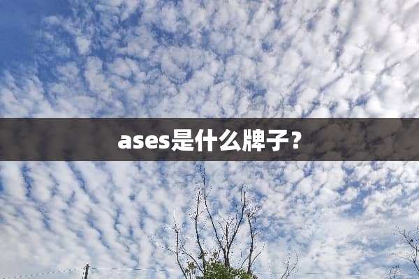 ases是什么牌子？