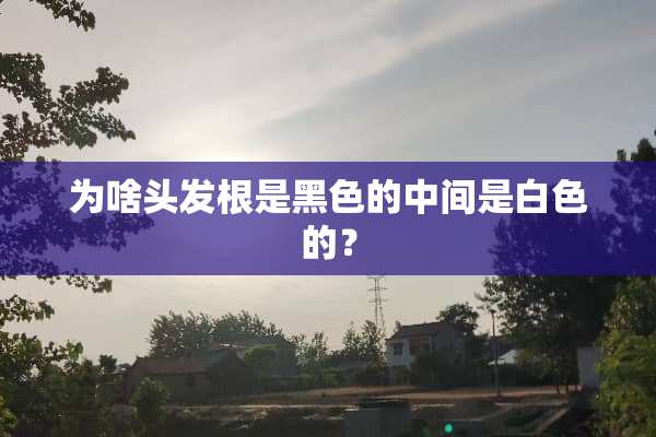 为啥头发根是黑色的中间是白色的？