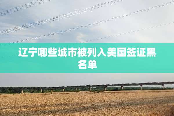 辽宁哪些城市被列入美国签证黑名单