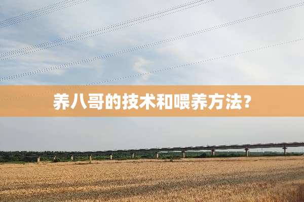 养八哥的技术和喂养方法？
