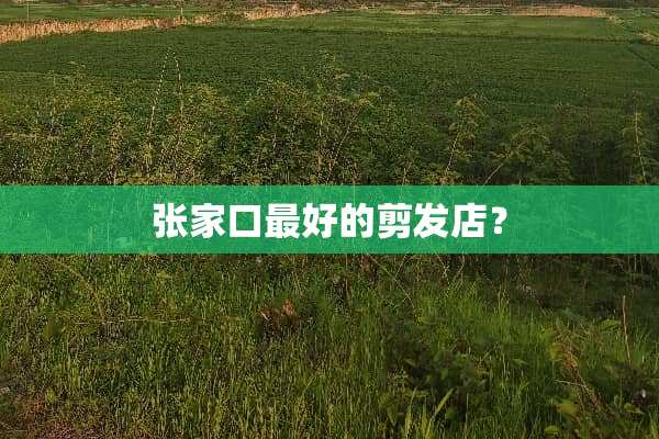 张家口最好的剪发店？