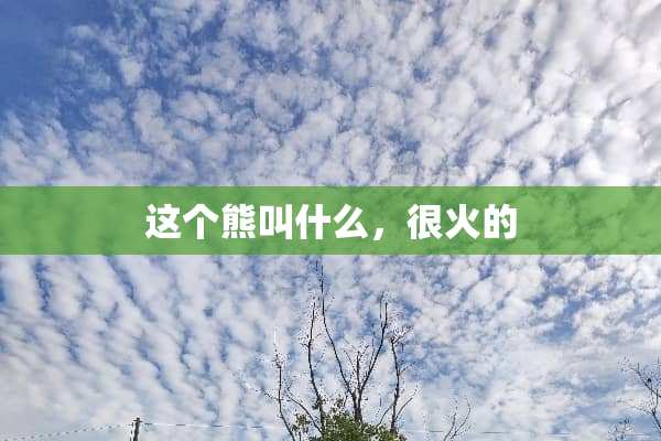 这个熊叫什么，很火的