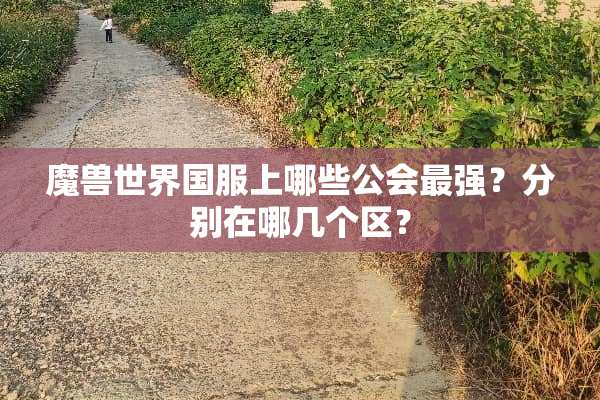 魔兽世界国服上哪些公会最强？分别在哪几个区？