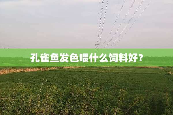孔雀鱼发色喂什么饲料好？