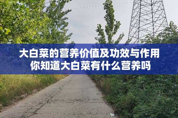 大白菜的营养价值及功效与作用 你知道大白菜有什么营养吗