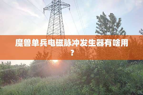 魔兽单兵电磁脉冲发生器有啥用？