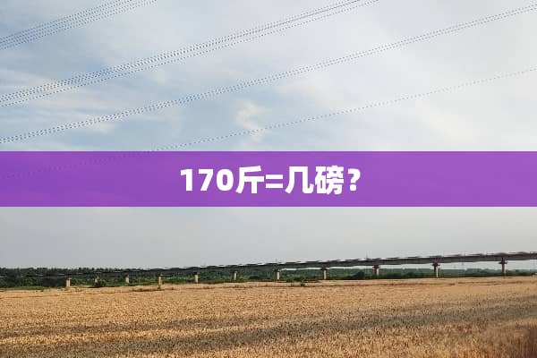 170斤=几磅？
