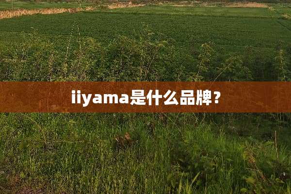 iiyama是什么品牌？