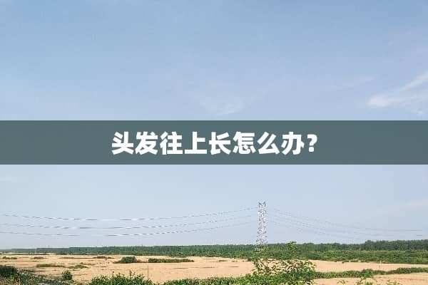 头发往上长怎么办？