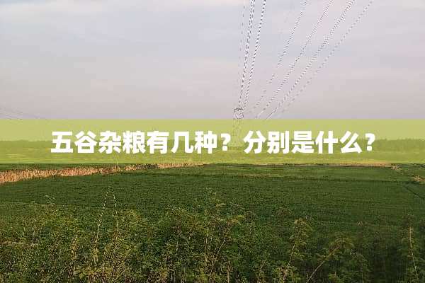 五谷杂粮有几种？分别是什么？