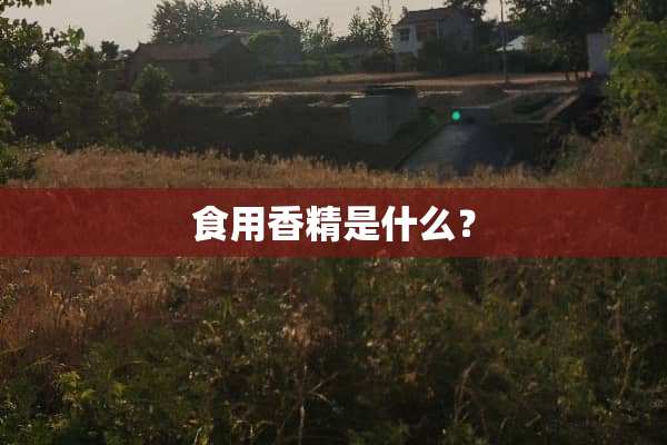 食用香精是什么？