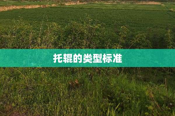 托辊的类型标准