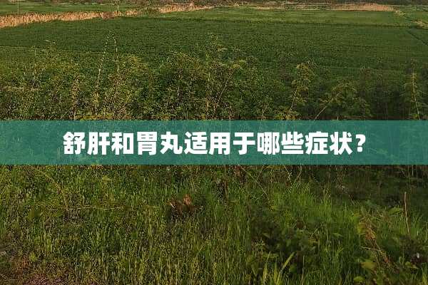 舒肝和胃丸适用于哪些症状？