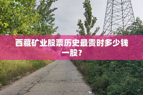 西藏矿业股票历史最贵时多少钱一股？