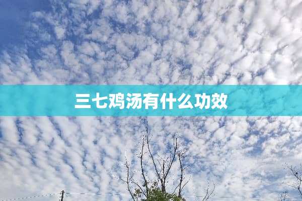 三七鸡汤有什么功效