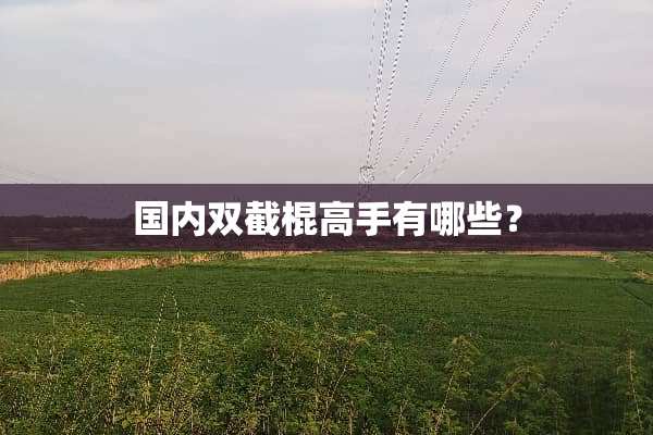 国内双截棍高手有哪些？