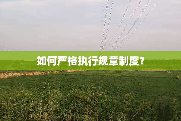 如何严格执行规章制度？