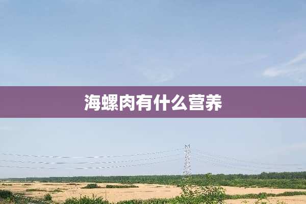 海螺肉有什么营养