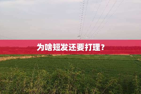 为啥短发还要打理？