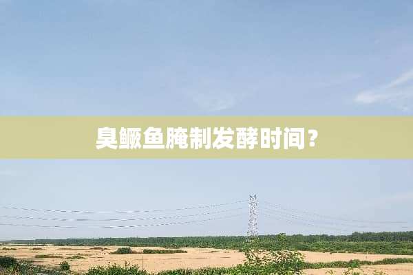 臭鳜鱼腌制发酵时间？