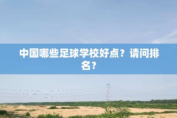 中国哪些足球学校好点？请问排名？
