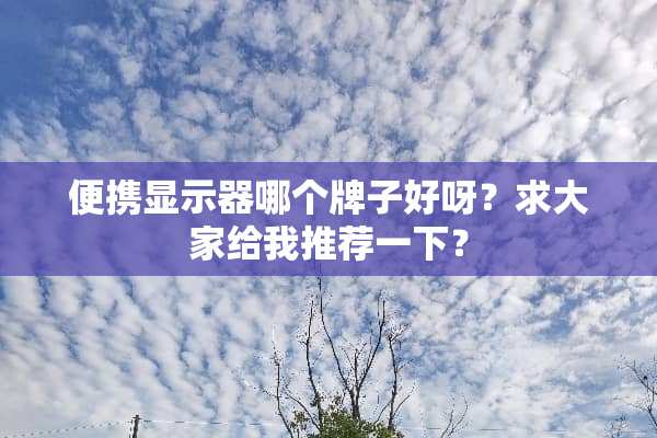便携显示器哪个牌子好呀？求大家给我推荐一下？