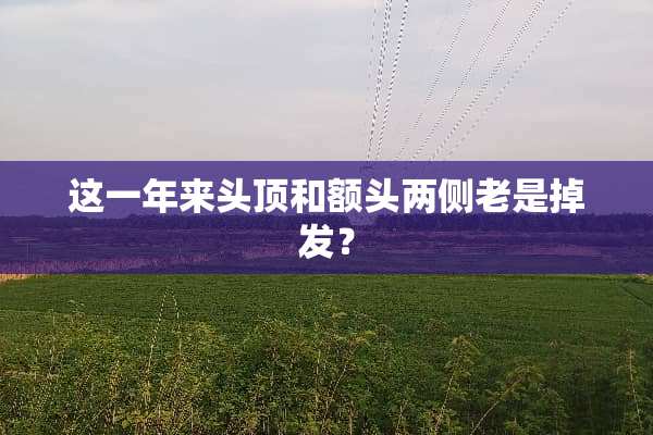 这一年来头顶和额头两侧老是掉发？