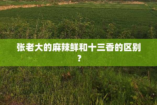 张老大的麻辣鲜和十三香的区别？