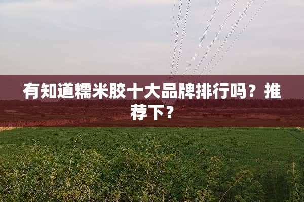 有知道糯米胶十大品牌排行吗？推荐下？