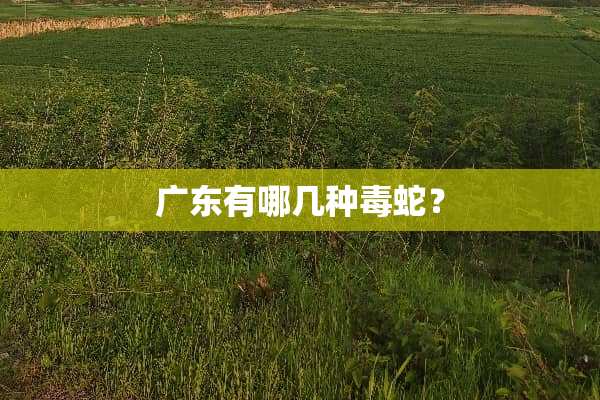 广东有哪几种毒蛇？